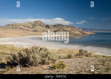 Great Salt Lake, Antelope Island State Park, Utah, USA Stock Photo