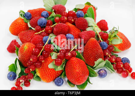 mix berries on a white background Stock Photo