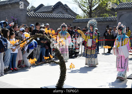 (190502) -- BEIJING, May 2, 2019 (Xinhua) -- Artists perform at the Beijing Garden at the International Horticultural Exhibition 2019 Beijing in Yanqing District of Beijing, capital of China, May 1, 2019. Nearly 50 activities aimed at showcasing Beijing's achievements in ecological progress and image as a historical and cultural city will be held during the four-day May Day holiday at the Beijing International Horticultural Exhibition, local officials said. These activities also aim to showcase the development of Beijing as an international metropolis and the city's achievements in foreign Stock Photo