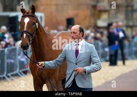 Badminton, Gloucestershire, UK. 02nd May, 2019. Tim Price. NZL. Bango. Trot Up. Mitsubishi Motors Badminton Horse Trials. Rolex Grand Slam Event. Horse Trials. Eventing. Badminton. Gloucestershire. United Kingdom. GBR. {01}/{05}/{2019}. Credit: Sport In Pictures/Alamy Live News Stock Photo