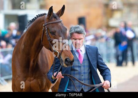 Badminton, Gloucestershire, UK. 02nd May, 2019. Jim Newson. IRL. Magennis. Trot Up. Mitsubishi Motors Badminton Horse Trials. Rolex Grand Slam Event. Horse Trials. Eventing. Badminton. Gloucestershire. United Kingdom. GBR. {01}/{05}/{2019}. Credit: Sport In Pictures/Alamy Live News Stock Photo