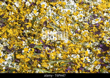 Colmernar Viejo, Madrid, Spain. 2nd May, 2019. Flowers are seen in an altar during the traditional celebration of 'Las Mayas' in Colmenar Viejo.The festivity of the Mayas comes from pagan rites and dates from the medieval age, appearing in ancient documents. It takes place every year in the beginning of May and celebrates the beginning of the spring. Girls between 7 and 11 years old are chosen as 'Maya' and should sit still, serious and quiet for a couple of hours in altars on the street decorated with flowers and plants. Credit: Jorge Sanz/SOPA Images/ZUMA Wire/Alamy Live News Stock Photo