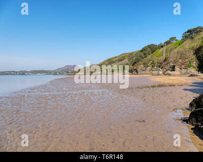 On a bright spring day the receding tide River Dwyryd estuary reveals wet rippled sandin a small bay. Stock Photo