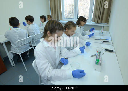 At a school chemistry lab, lesson. Pupils in lab coats taking samples from fruits using Petri dishes and tweezers. Kiev, Ukraine. November 28, 2018 Stock Photo