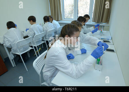 At a school chemistry lab, lesson. Pupils in lab coats taking samples from fruits using Petri dishes and tweezers. Kiev, Ukraine. November 28, 2018 Stock Photo