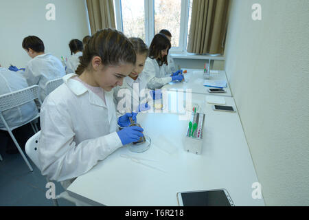 At a school chemistry lab, lesson. Pupils in lab coats taking samples from fruits using Petri dishes and tweezers. Kiev, Ukraine. November 28, 2018 Stock Photo