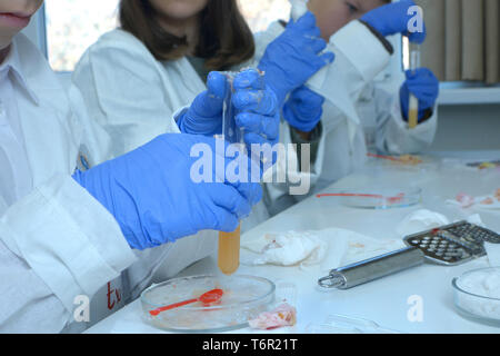 At a school chemistry lab, lesson. Pupils in lab coats taking samples from fruits using Petri dishes and tweezers. Kiev, Ukraine. November 28, 2018 Stock Photo