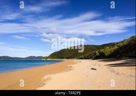 Golden sand, blue cloud sky. Totaranui beach is a 1km long beach in the Tasman Region of New Zealand Stock Photo