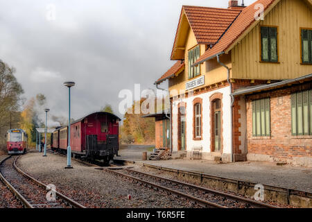 Narrow-Gauge Railway called Harzquerbahn, Selketal, Harz Mountains, Germany Stock Photo