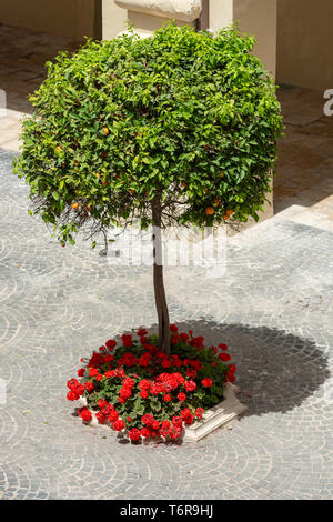 Historic Grandmaster's Palace courtyard. Valletta Malta Stock Photo - Alamy