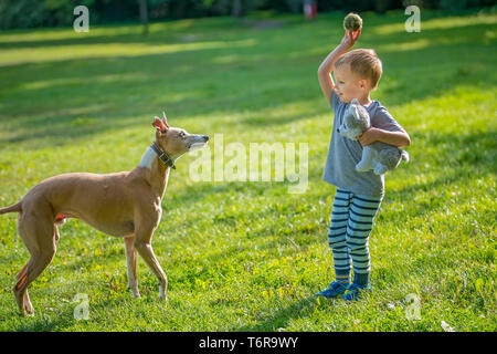 Boy throwing ball to the dog Stock Photo