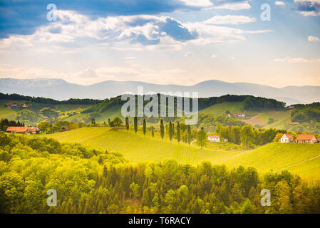 South styria vineyards landscape, near Gamlitz, Austria, Eckberg, Europe. Grape hills view from wine road in spring. Tourist destination, travel spot. Stock Photo