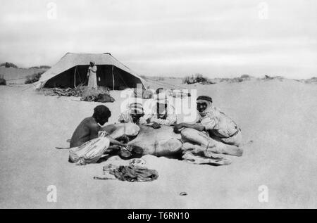 saudi arabia, life in the desert, the camel's legs are cured, 1920-30 Stock Photo
