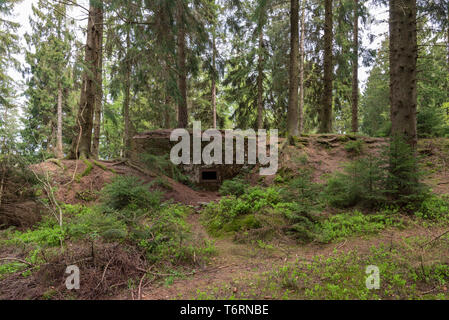 Intact Siegfried Line bunker from the Second World War, Eifel region, Germany Stock Photo