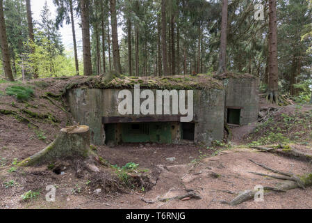 Intact Siegfried Line bunker from the Second World War, Eifel region ...