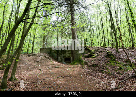 Intact Siegfried Line bunker from the Second World War, Eifel region, Germany Stock Photo