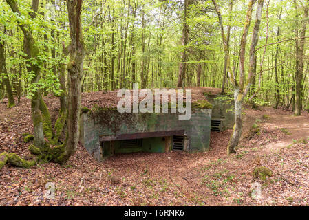 Intact Siegfried Line bunker from the Second World War, Eifel region, Germany Stock Photo