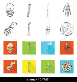 skull,femur,knee,wrist,foot,fiber,death,joint,hand,ankle,bony,healthy,monster,leg,meniscus,calcium,scientific,evil,body,structure,podiatry,muscle,horror,tibia,arm,forefoot,epithelium,tattoo,fibula,carpus,finger,medicine,clinic,biology,medical,bone,skeleton,anatomy,human,organs,set,vector,icon,illustration,isolated,collection,design,element,graphic,sign Vector Vectors , Stock Vector