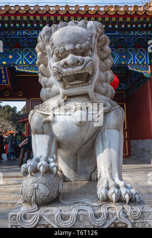 Guradian male lion statue in front of entrance to Jingshan Park in Beijing, China Stock Photo