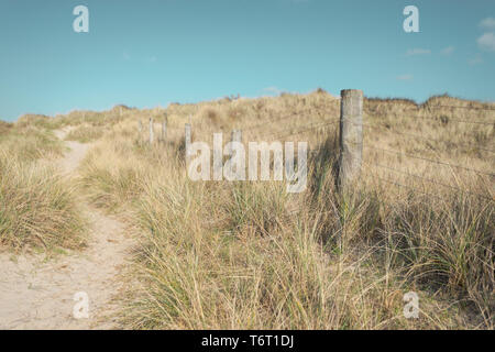 A fence runs along the top of sand dunes covered in wild grasses at the West Beach Nature Reserve in Littlehampton, West Sussex, UK. Stock Photo