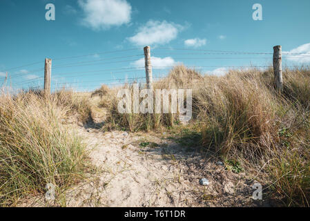 A fence runs along the top of sand dunes covered in wild grasses at the West Beach Nature Reserve in Littlehampton, West Sussex, UK. Stock Photo