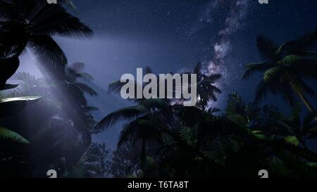 4K Astro of Milky Way Galaxy over Tropical Rainforest. Stock Photo