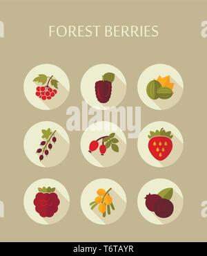 Forest berries icons set. Vector illustration for food apps and websites Stock Vector