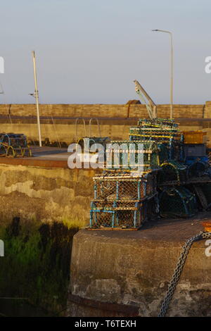 Lobster Pots at St Monans Harbour on a Sunny Summer Evening, Fife, Scotland, UK. Stock Photo