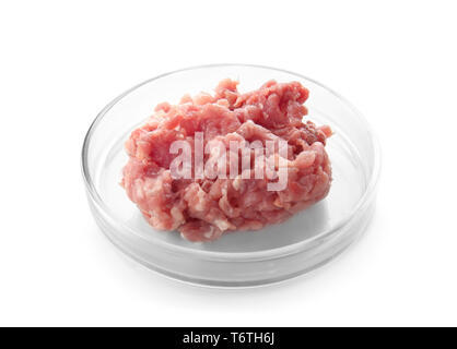 Minced meat in Petri dish on white background. Gmo food concept Stock Photo
