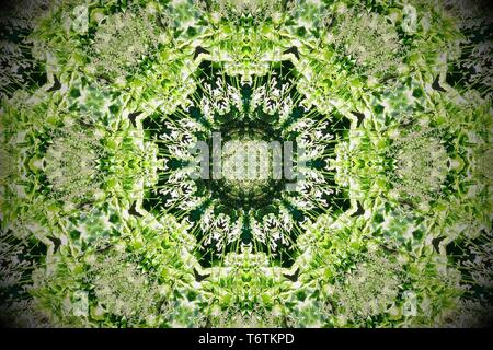 Abstract image created with a kaleidoscope filter. Greenery in the tiergarten, Berlin, Germany. Stock Photo