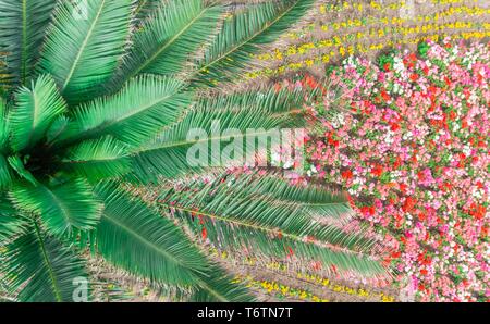 Flowers arrangement and roundabouts in Malta and Gozo Stock Photo