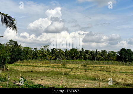 Around the Santiago City, Isabela, Philippines, Santiago City ...