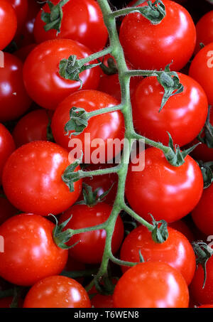 Tomatoes for sale on a stall at the Thursday Open Market in Javea ...