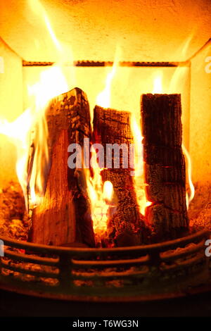 https://l450v.alamy.com/450v/t6wg3n/burning-fire-in-the-oven-t6wg3n.jpg