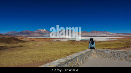 An unidentified tourist observes red stones and Talar salar from viewpoint Stock Photo