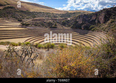 Scenic view of the extraordinary cirular terraces at Moray Inca Archeological Site, Cusco Region, Peru Stock Photo