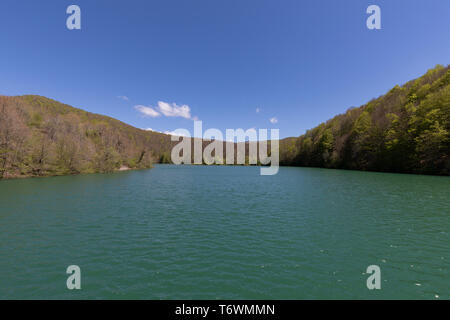 Irati forest in a sunny spring day in Navarra Stock Photo