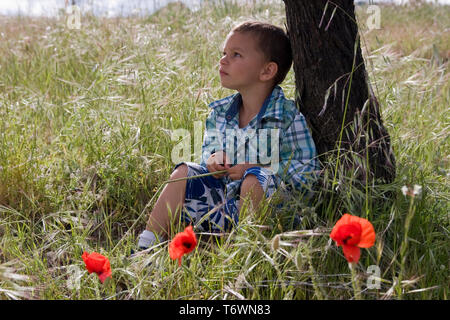 contemplative little boy sitting under tree in field of poppies Stock Photo