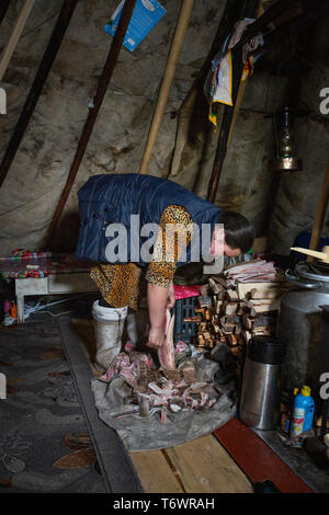 Russia, Yamal-Nenets Autonomous Region, Yamal peninsula. Traditional nomadic Nenets reindeer herders camp. Inside typical tent aka chum, woman cooking. Stock Photo