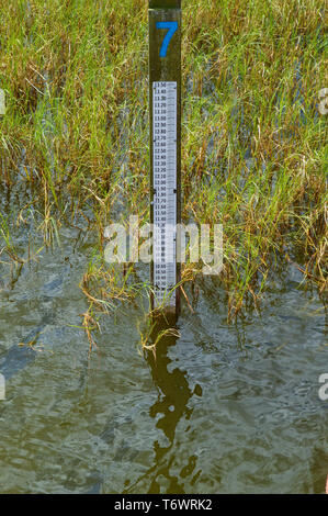 Staff Gauge Depth Level Indicator Water Meter Measuring Surveillance Tool Post Ruler Height Indicator Close-Up View in Lake Water Grass Outdoors Stock Photo