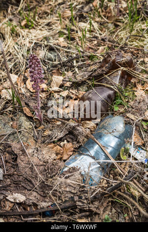 Detail of plastic bottles dumped in a forest Stock Photo