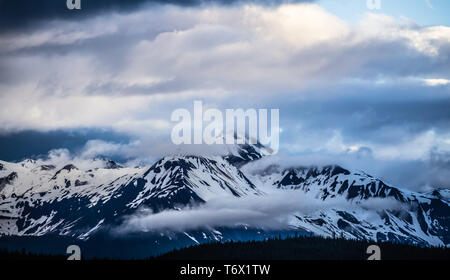 alaskan vast landscape during summer season in june Stock Photo