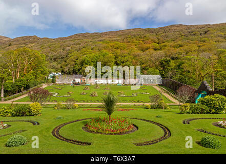 View of the formal flower garden in the Victorian walled garden at Kylemore Abbey, Letterfrack, Connemara, County Galway, Republic of Ireland. Stock Photo