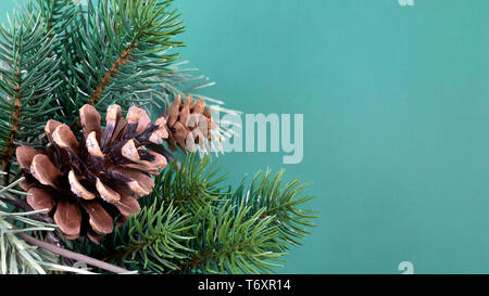 twig with pine cones background Stock Photo