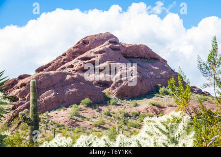 The Papago mountains of Phoenix with a brilliant blue sky and puffy white clouds with desert plants below. Stock Photo