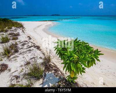 Amazing atoll in the Maldives Stock Photo