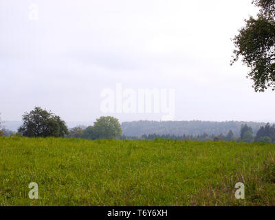A green meadow trees and covered sky and a forest in the background in Germany Stock Photo