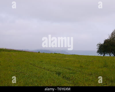 A green meadow trees and covered sky in Germany Stock Photo