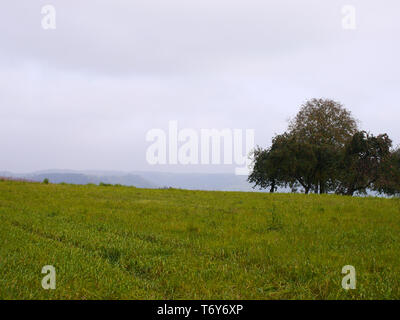 A green meadow a group of trees and covered sky in southern Germany Stock Photo
