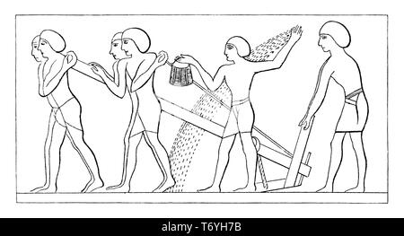 Sowing in ancient Egypt. Ancient Egyptian depiction q Filling the ...